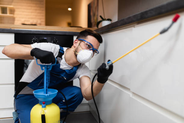 Best Pest Control for Homes  in Mcgregor, FL