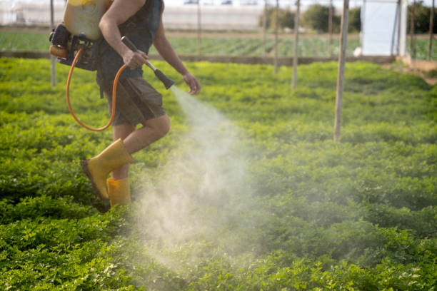 Best Pest Removal Services  in Mcgregor, FL