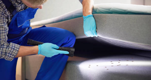 Best Insect Control  in Mcgregor, FL