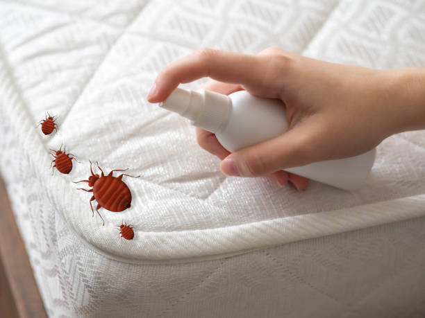 Trusted Mcgregor, FL Pest Control Experts