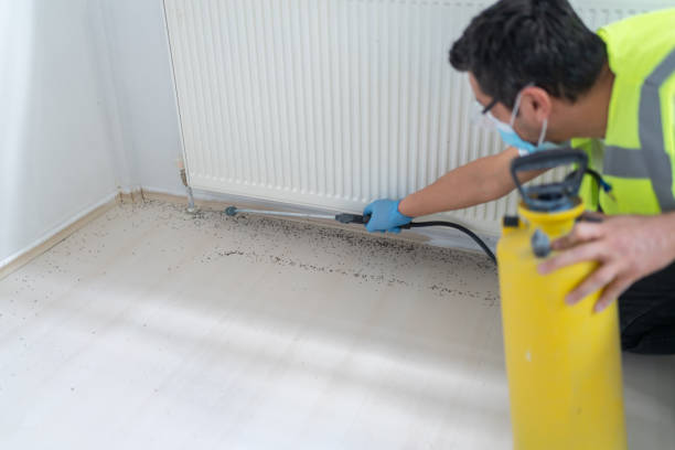 Pest Control Cost in Mcgregor, FL