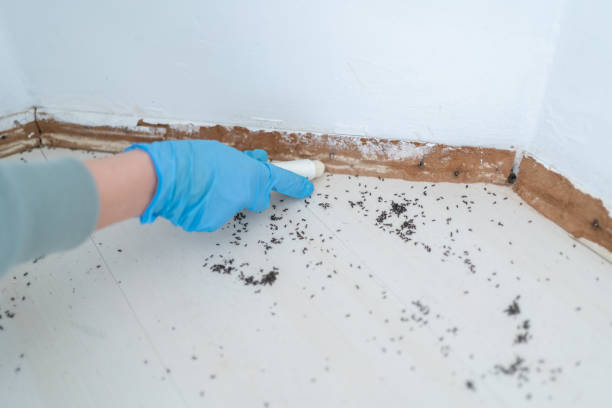 Best Best Pest Control Companies  in Mcgregor, FL