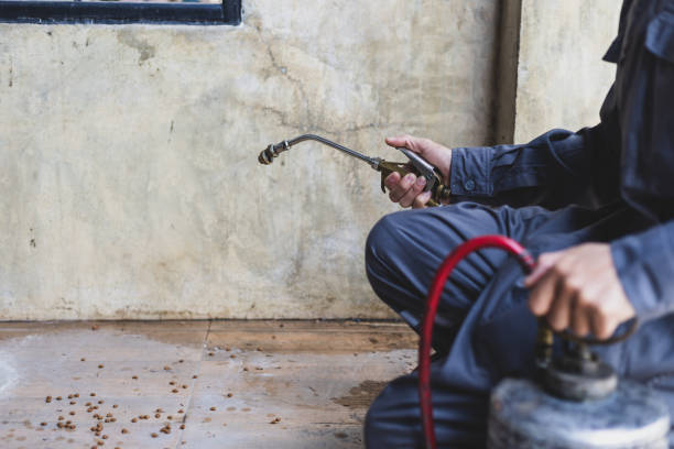 Best Pest Control Cost  in Mcgregor, FL